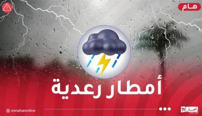 أمطار.webp