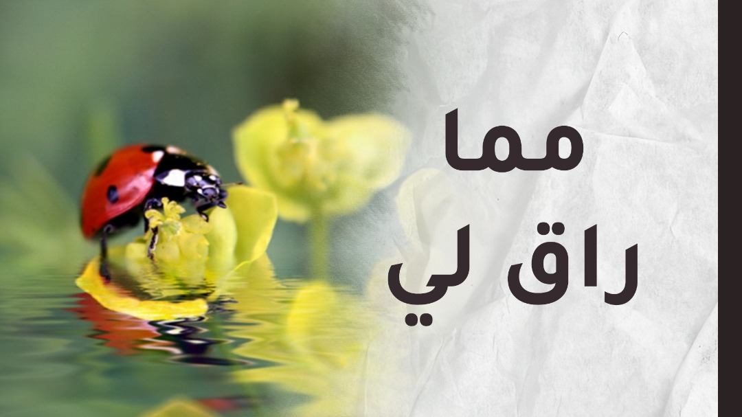 WhatsApp-Image-2022-03-15-at-08.44.28.jpeg