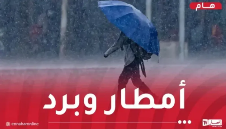 أمطار-وبرد.png