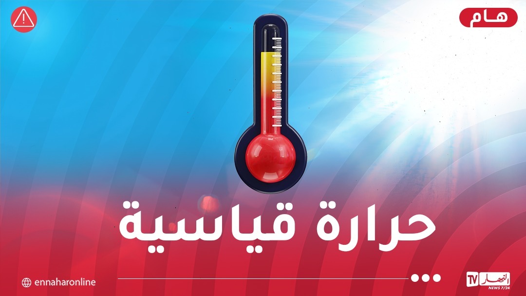 WhatsApp-Image-2025-08-10-at-13.06.58.jpeg