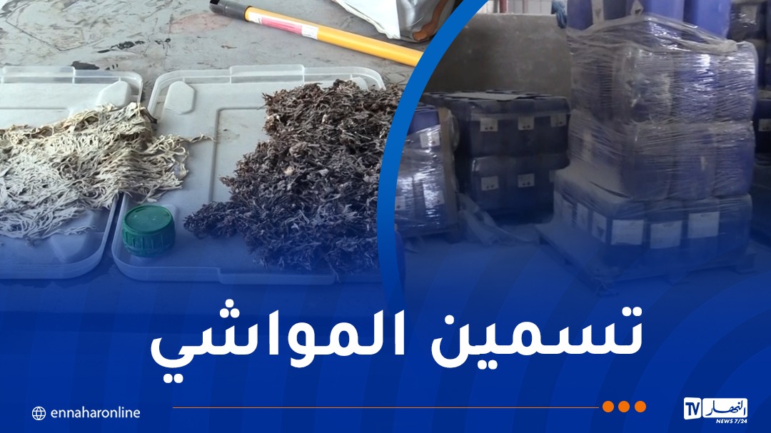المنتجات.jpg