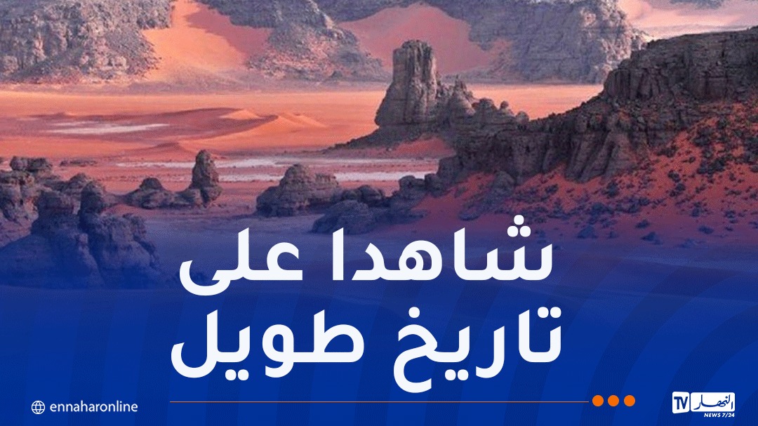 WhatsApp-Image-2026-05-06-at-17.13.11.jpeg