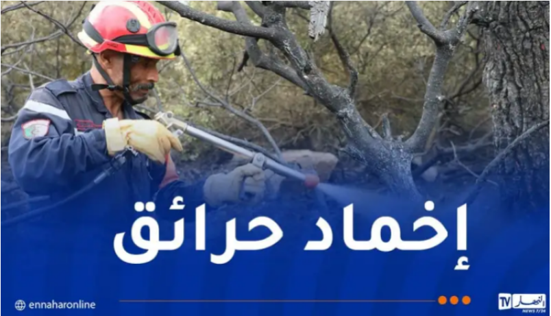 حرائق-الغابات.png