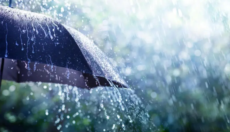 pluie.webp