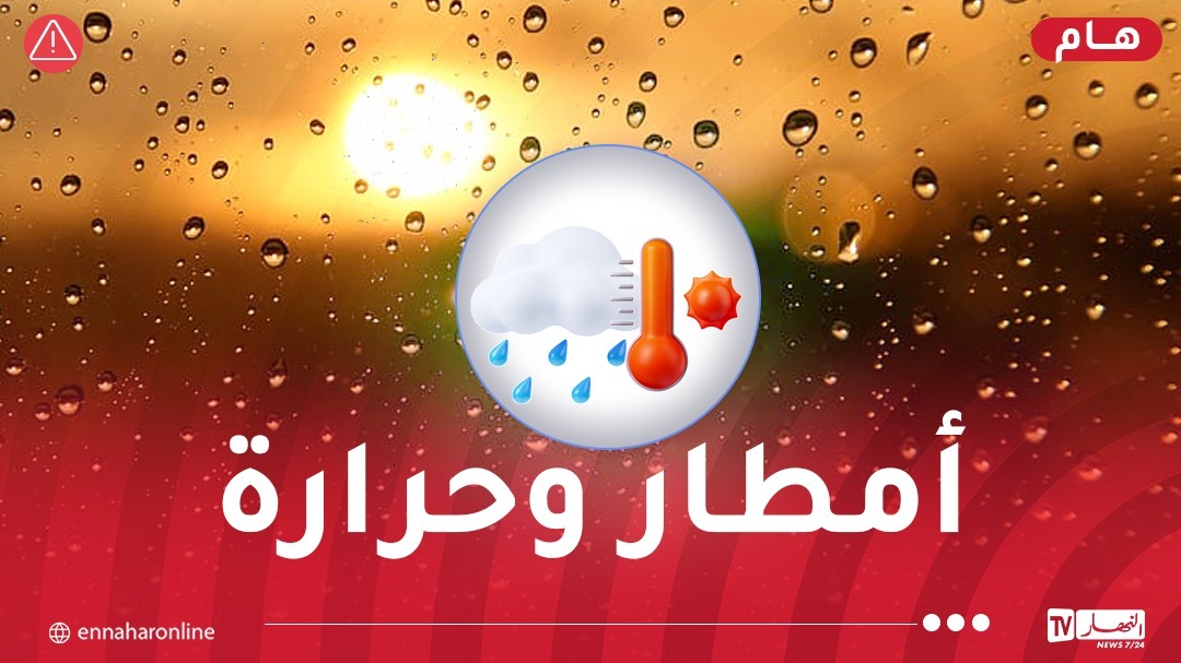 WhatsApp-Image-2025-08-10-at-13.06.52.jpeg