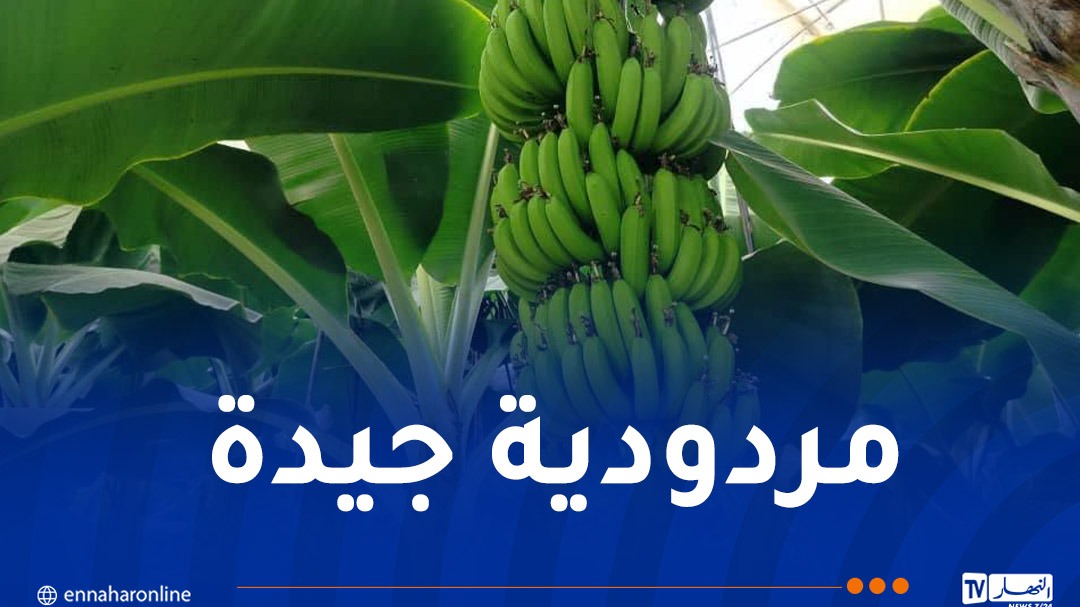 WhatsApp-Image-2026-10-11-at-16.24.03.jpeg