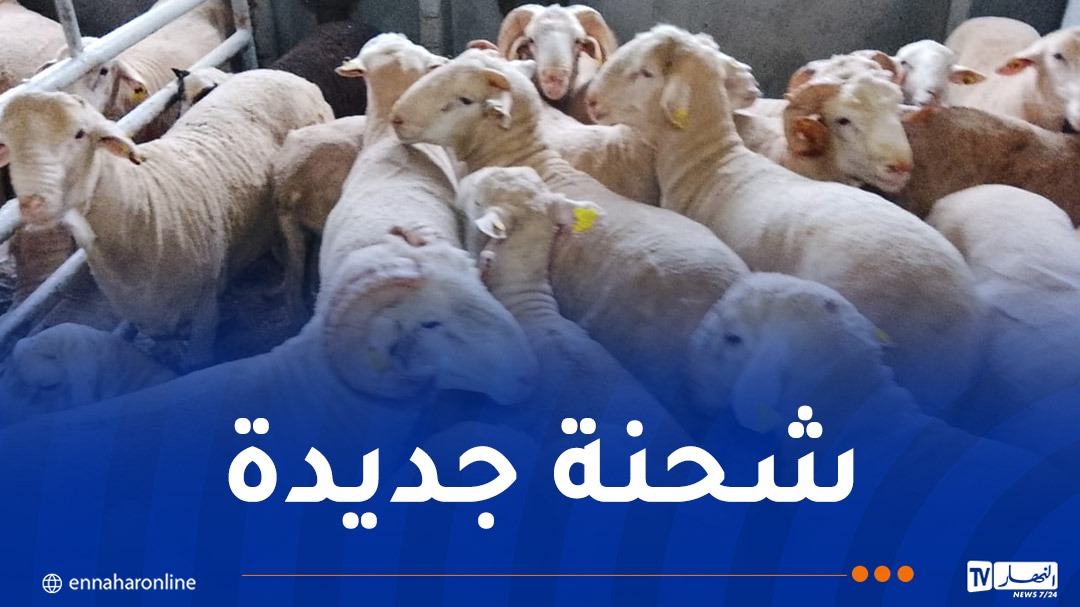 WhatsApp-Image-2026-04-26-at-11.57.30.jpeg