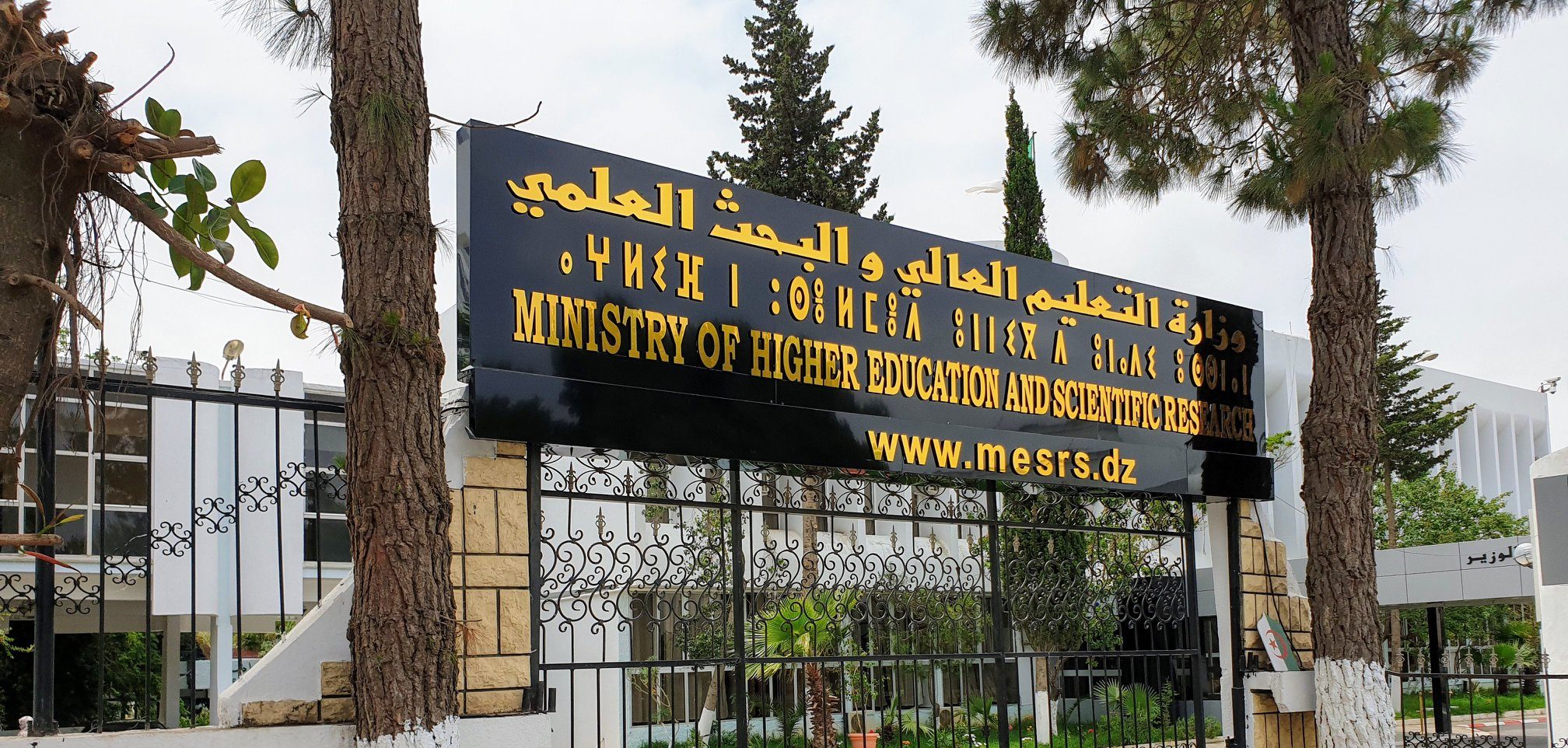 وزارة-التعليم-العالي-والبحث-العلمي.jpg