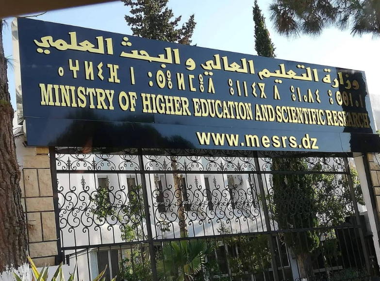 تعليم-عالي.png