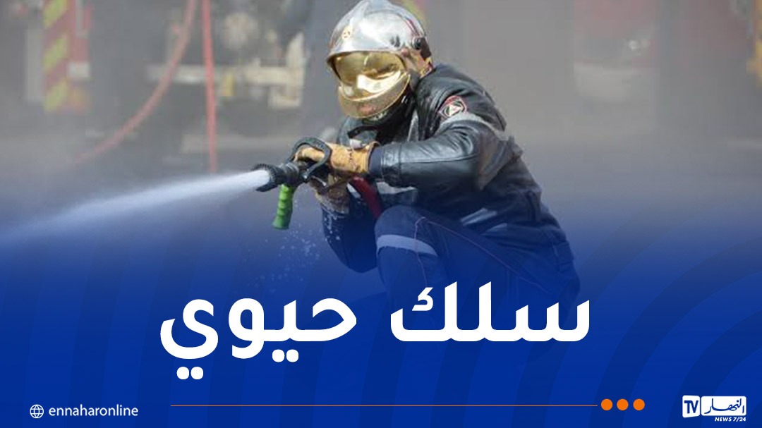 الحماية-1.jpg