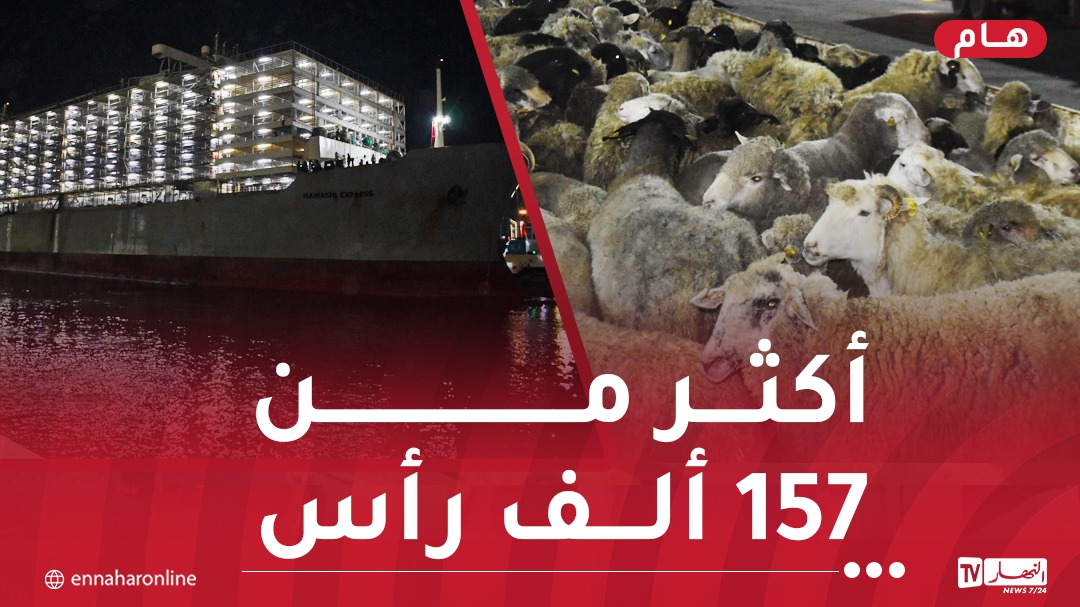 الأغنام-1.jpg