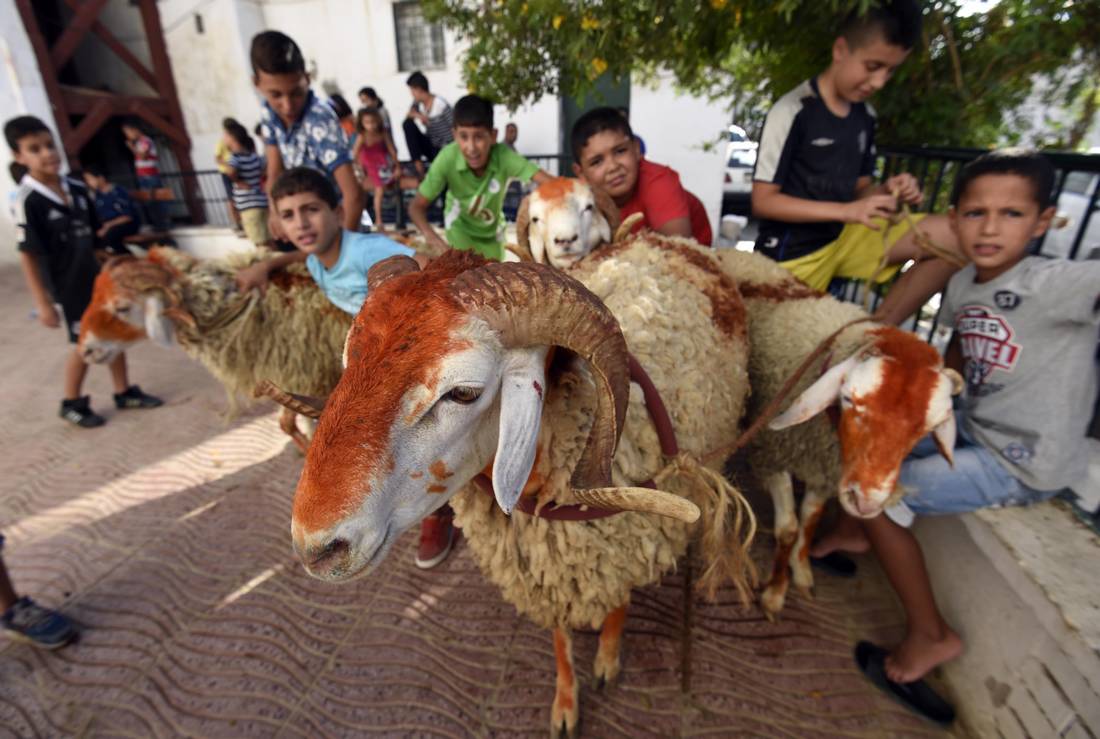 عيد-الأضحى.jpg