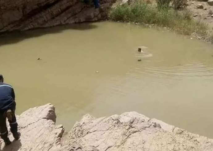 بركة.png