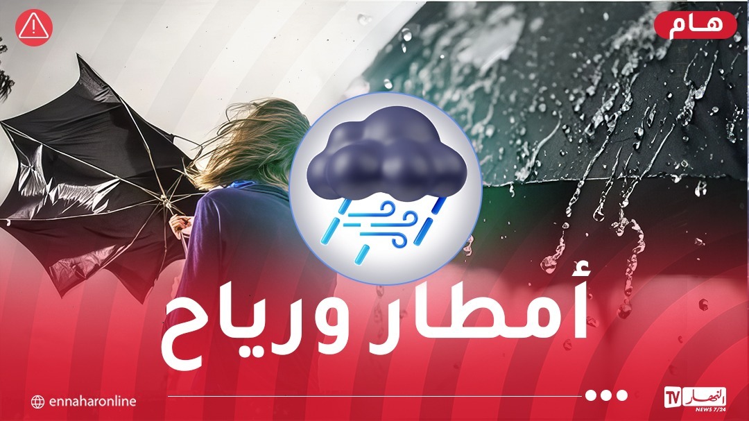 WhatsApp-Image-2025-05-04-at-07.02.34.jpeg