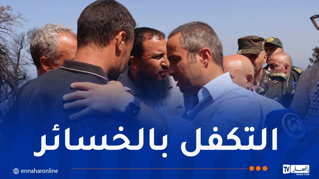 WhatsApp-Image-2026-09-03-at-15.02.24.jpeg