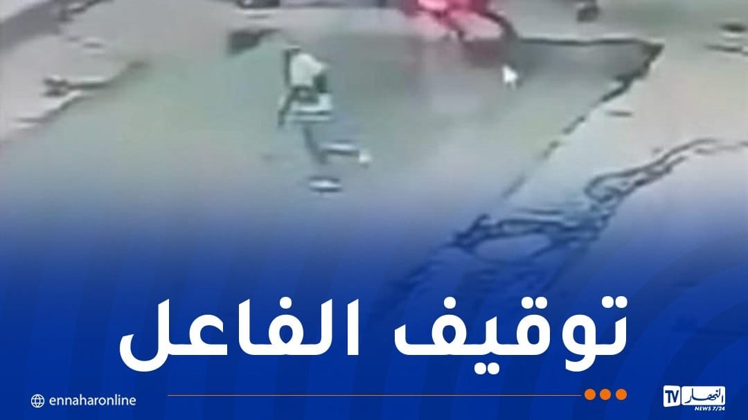 WhatsApp-Image-2026-07-26-at-12.26.33.jpeg