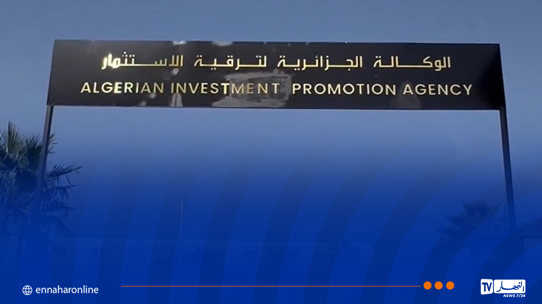 miniature-site-14-2.png