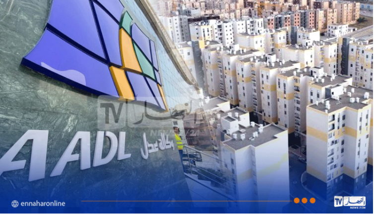 عدل.png