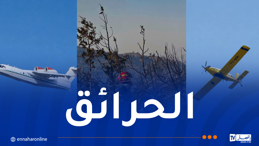 miniature-site-5-1.png