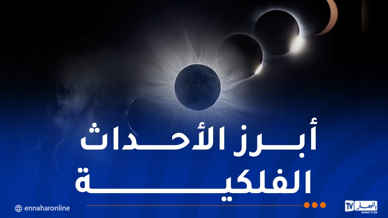 WhatsApp-Image-2026-07-29-at-11.12.37.jpeg