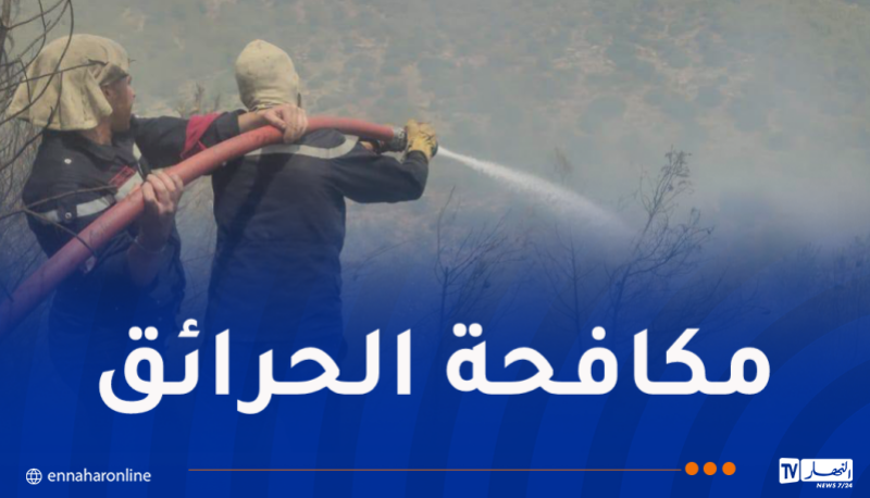 حرائق-الغابات.png