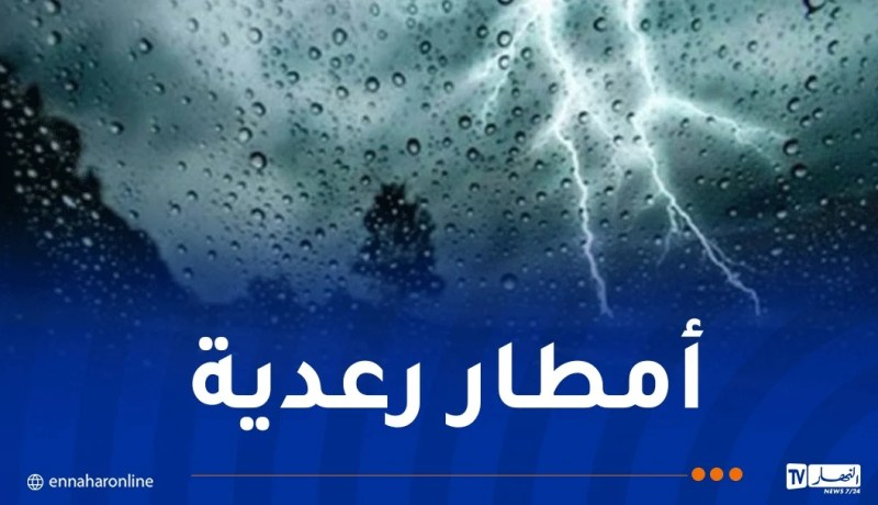 WhatsApp-Image-2024-11-14-at-11.52.14.jpeg