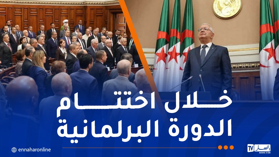 WhatsApp-Image-2026-07-16-at-11.51.00.jpeg