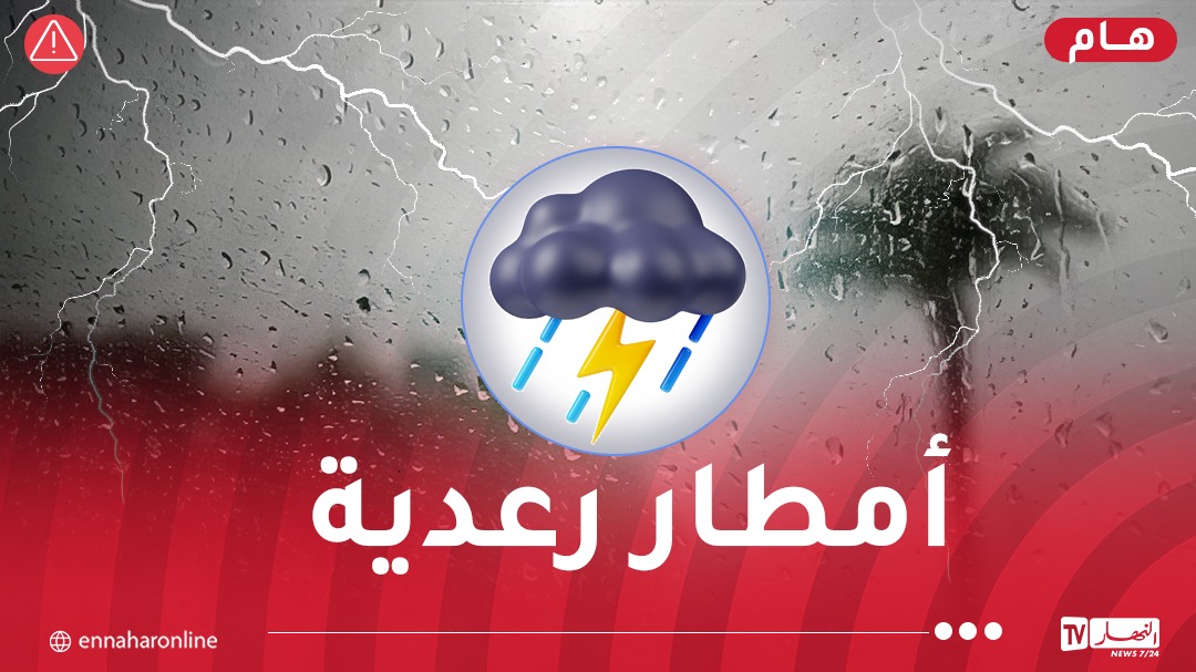 WhatsApp-Image-2024-08-30-at-12.01.39.jpeg