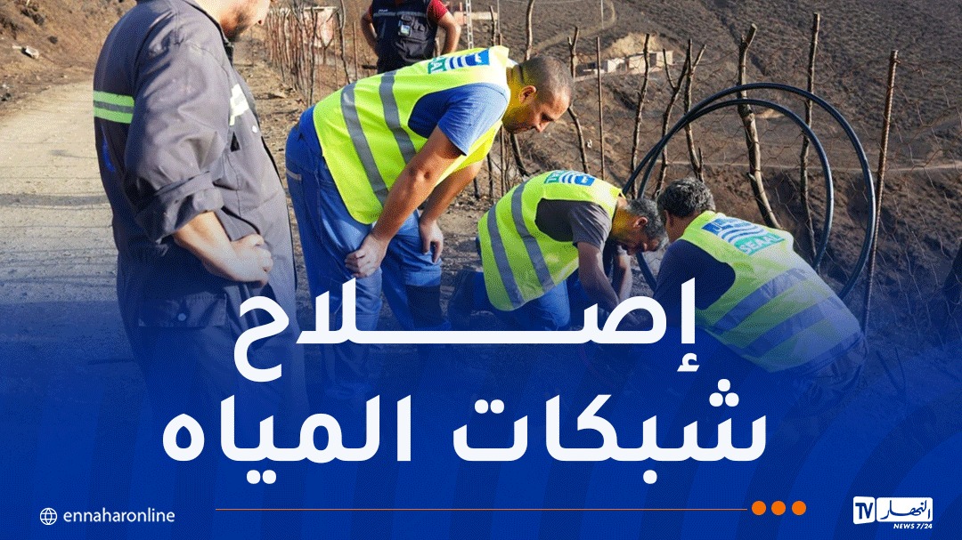 WhatsApp-Image-2026-09-03-at-11.10.13.jpeg